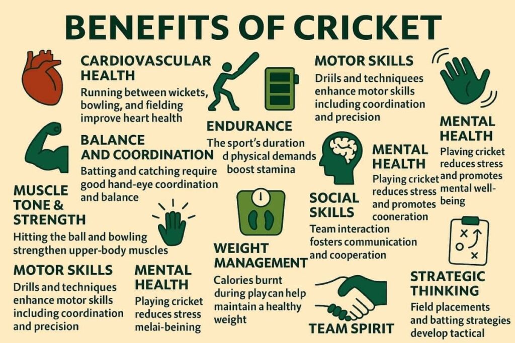 Infographic on benefits of playing cricket.