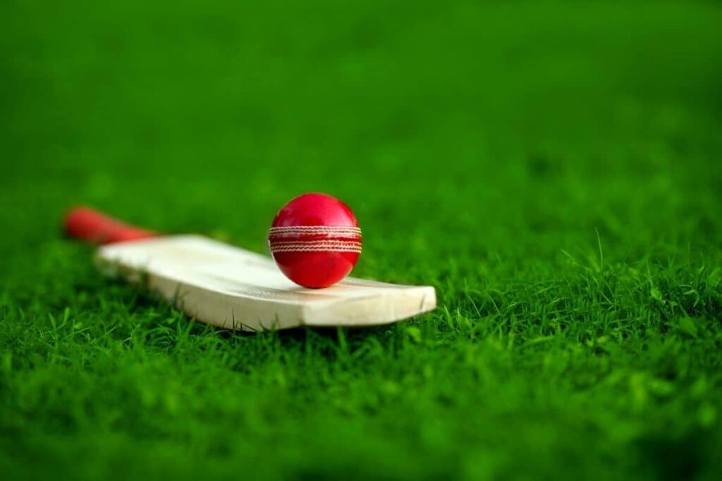 A red leather ball on a cricket bat, both in focus, lying on a cricket field with blurred background.
