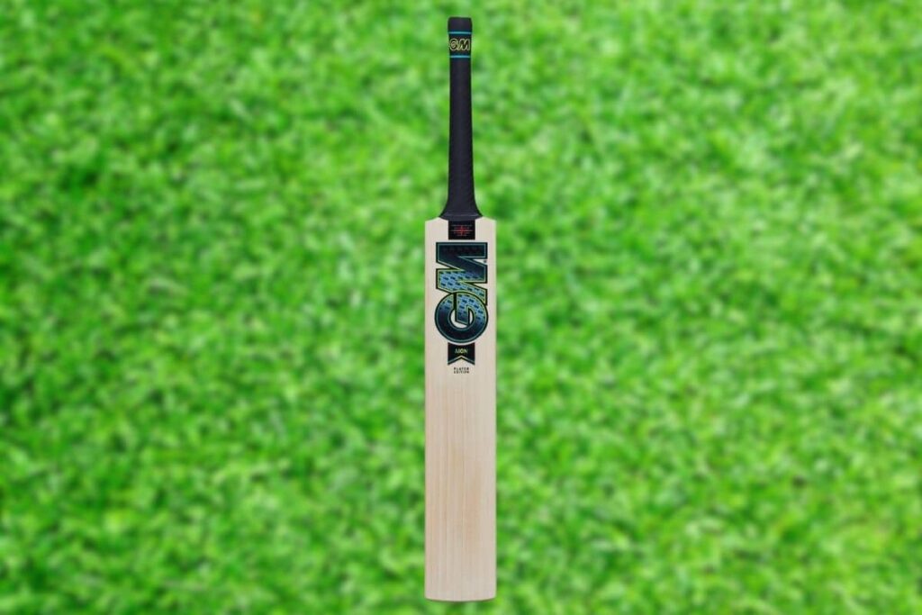 GM Aion player edition (Aiden Markram) is displayed against a grass background.